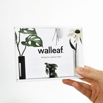 Her ses pakken hvor de tre wallleaf er i