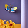 Decoration butterfly in yellow and blue