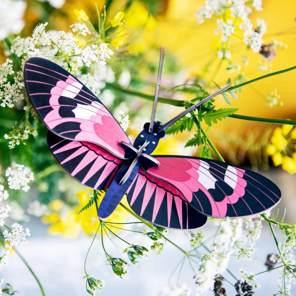 Studio Roof, pink paper longwing butterlfy