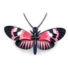 Longwing butterfly, pink, Studio Roof