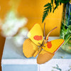 Yellow butterfly. Studio Roof