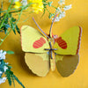 Yellow 3D art deco butterfly, studio roof