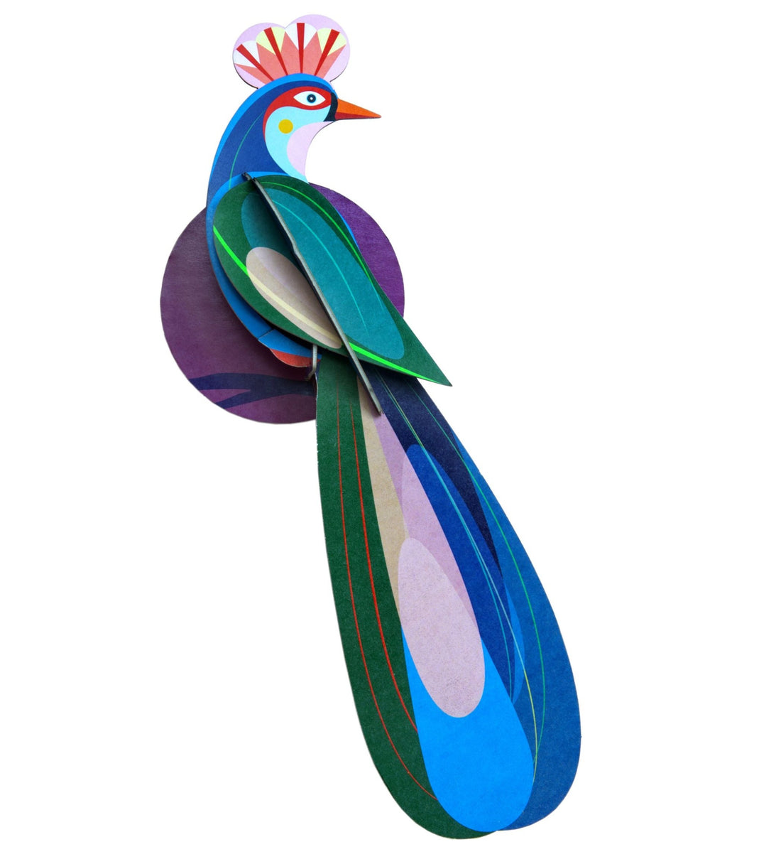 Banda, Paradise bird, studio roof