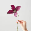 Studio About, Clematis, Papirblomst i lilla 