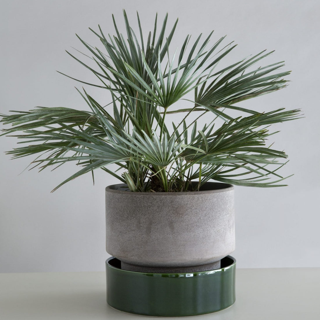 Hoff saucer - Emerald Green