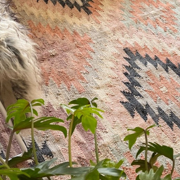 Jute kelim gulvtæppet Puebla fra LIV Interior har en flot farve kombination af bløde farver, der sammen med det traditionelle kelim mønster giver tæppet et antikt look. Gulvtæppet vil være iøjnefaldende i rummet, men stadig have et roligt udtryk pga. de dæmpede farver