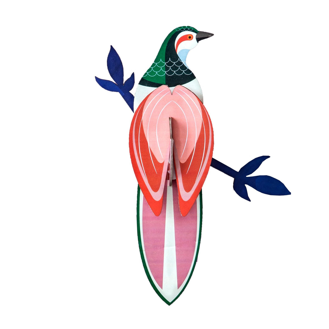 Paradse bird, rani, studio roof