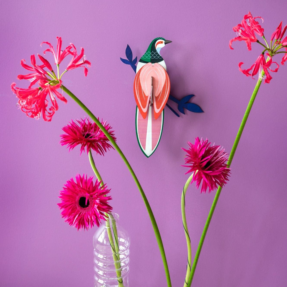 Paradise bird, rani studio roof