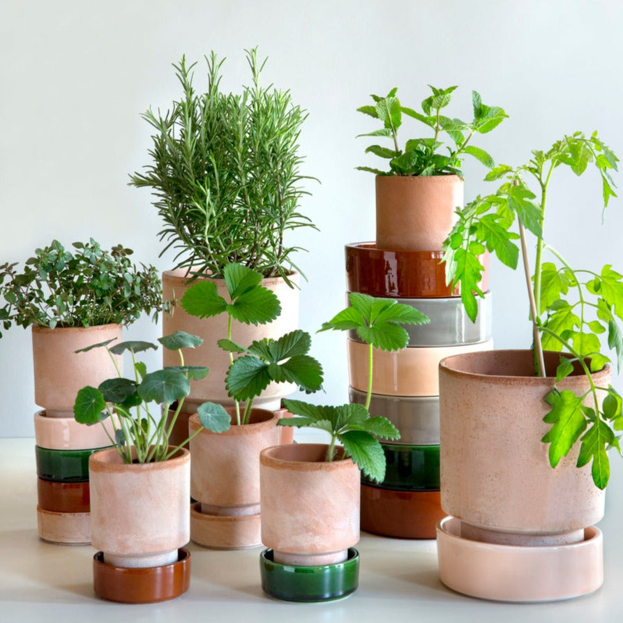 Rå terracotta urtepotter med glaserede underskåle fra Bergs Potter, Hoff Collection