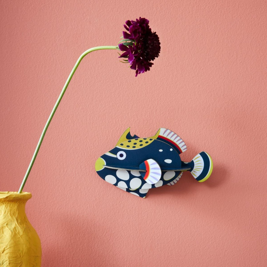 Clown triggerfish, studio roof