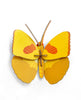 Yellow butterfly, studio roof